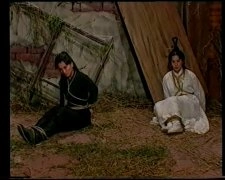 张庭,涂善妮