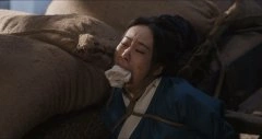 何苗*