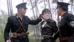 魏冉
