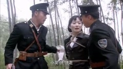 魏冉