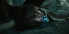 王影璐