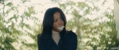 王珞丹