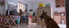 童瑶