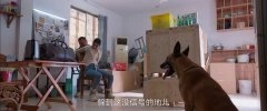 童瑶