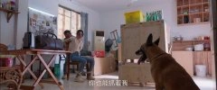 童瑶