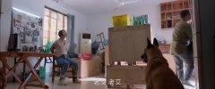 童瑶