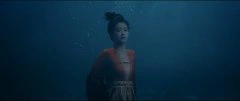 白鹿