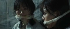 柳佳希,沐岚