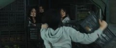 柳佳希等