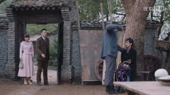 斯琴高丽