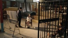 张悦,郑妙